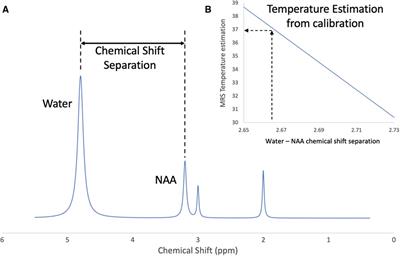 Brain temperature monitoring in newborn infants: Current methodologies and prospects